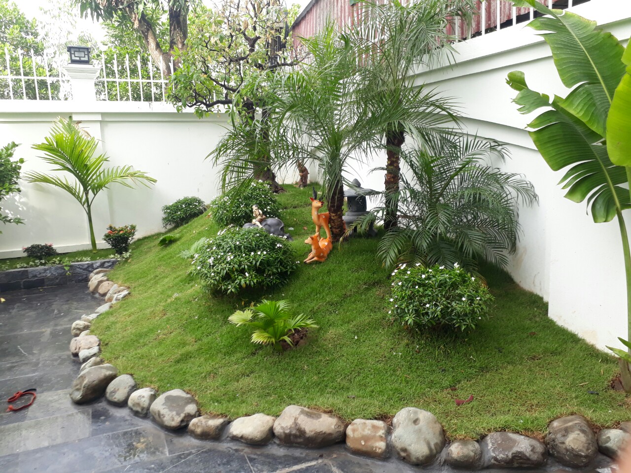 Thi công tiểu cảnh sân vườn