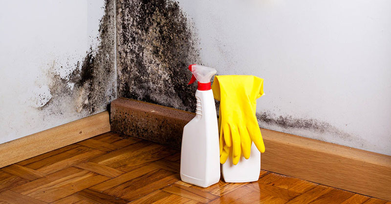 Xử lý ẩm mốc nhà cấp 4