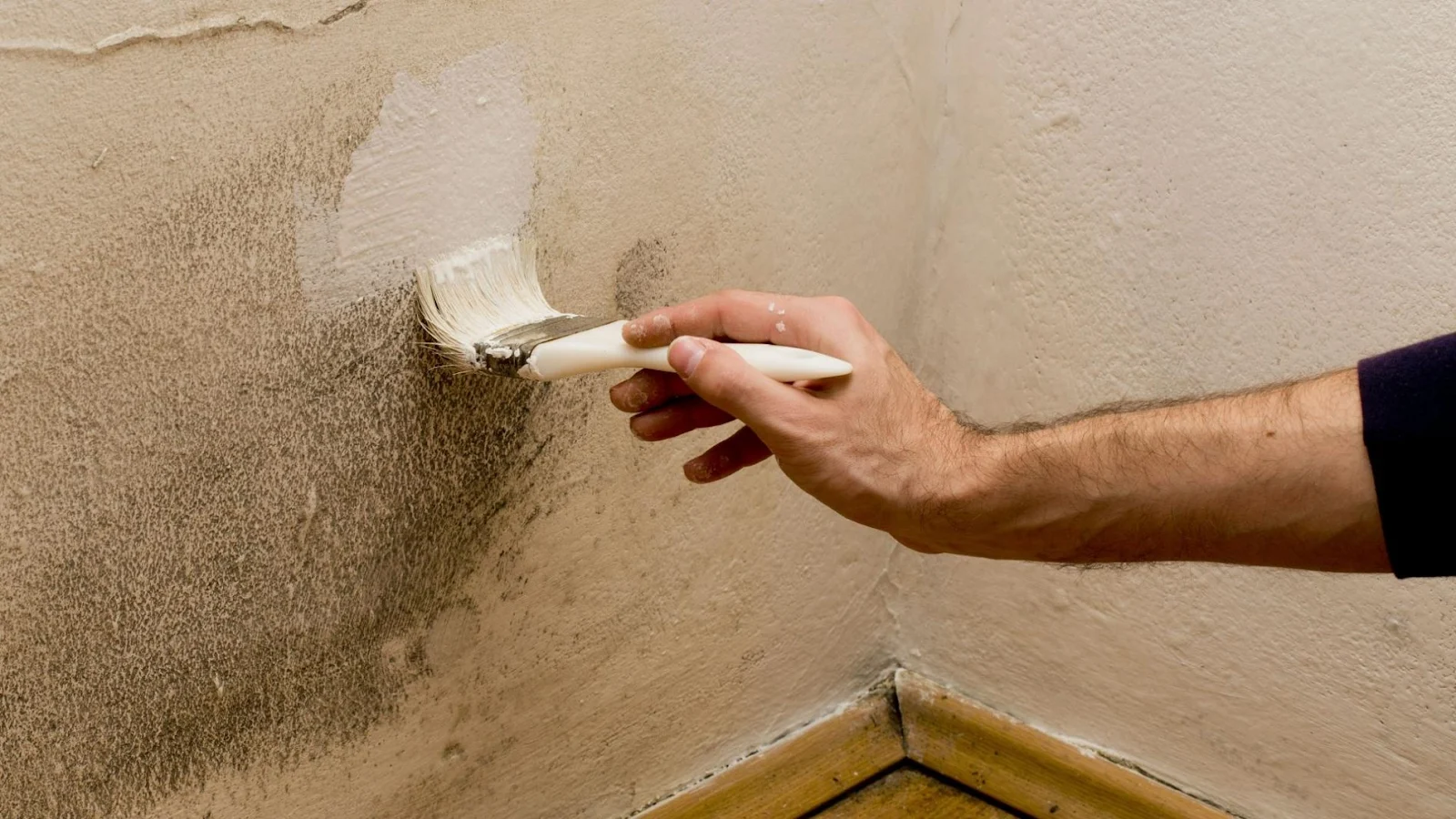 Xử lý tường phòng khách bị ẩm mốc