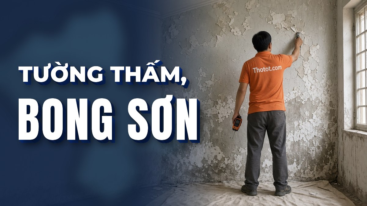 Tường bị thấm nước, bong tróc sơn: Xác định nguyên nhân trước khi sửa