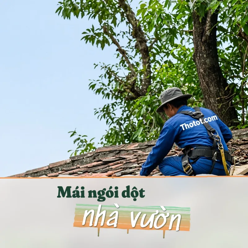 Xử lý mái ngói nhà vườn bị dột