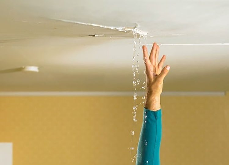 Kiểm tra thấm dột nhà vườn