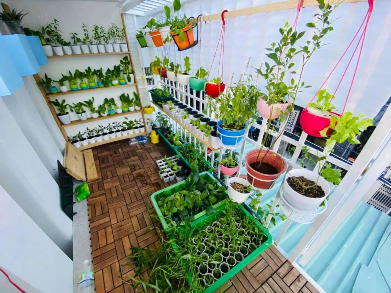 Làm vườn ban công căn hộ