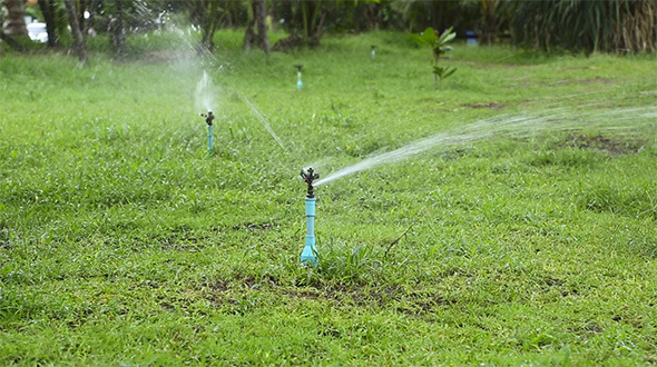 Lắp hệ tưới sân vườn