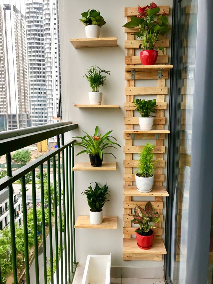 Lắp kệ cây ban công căn hộ