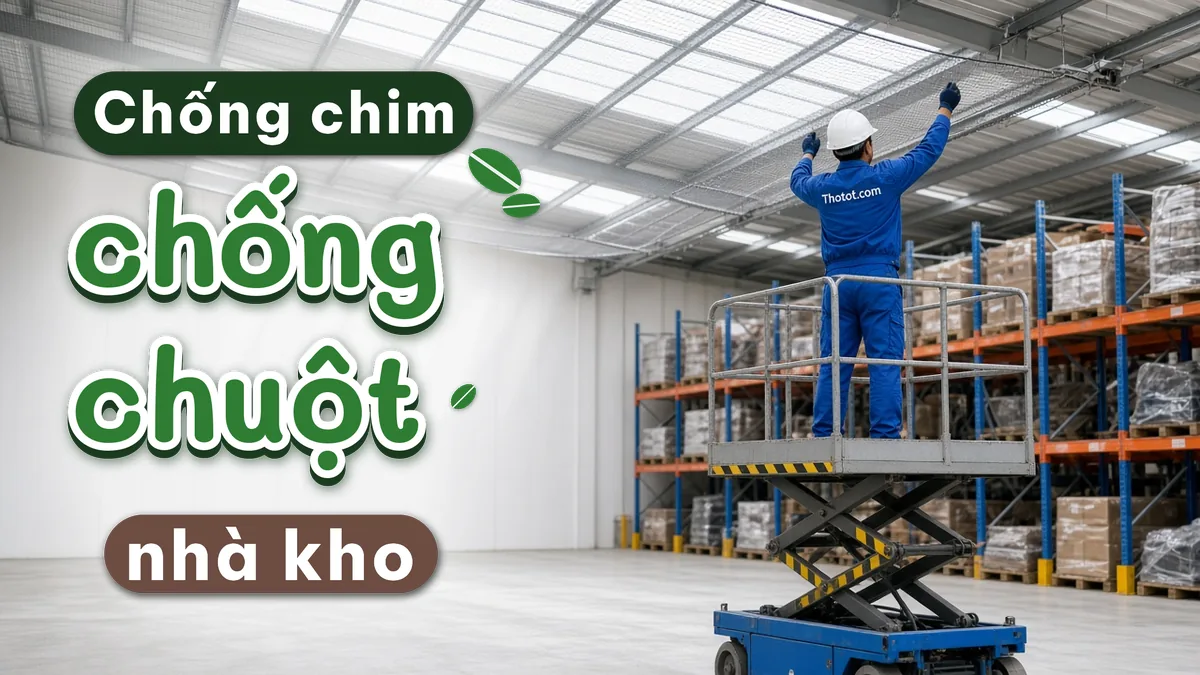 Lắp lưới chống chim, chống chuột nhà kho