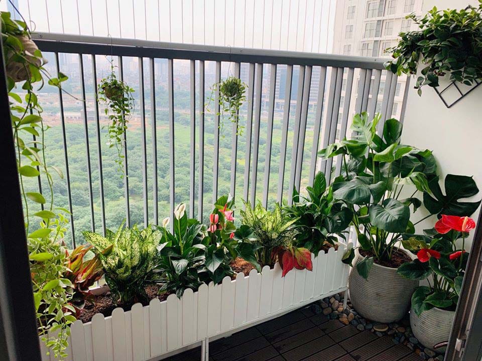 Trang trí ban công căn hộ