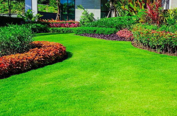 Trồng cỏ sân vườn