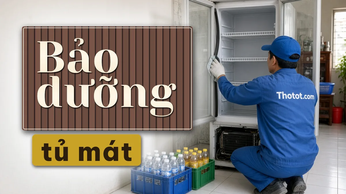 Vệ sinh, bảo dưỡng tủ mát