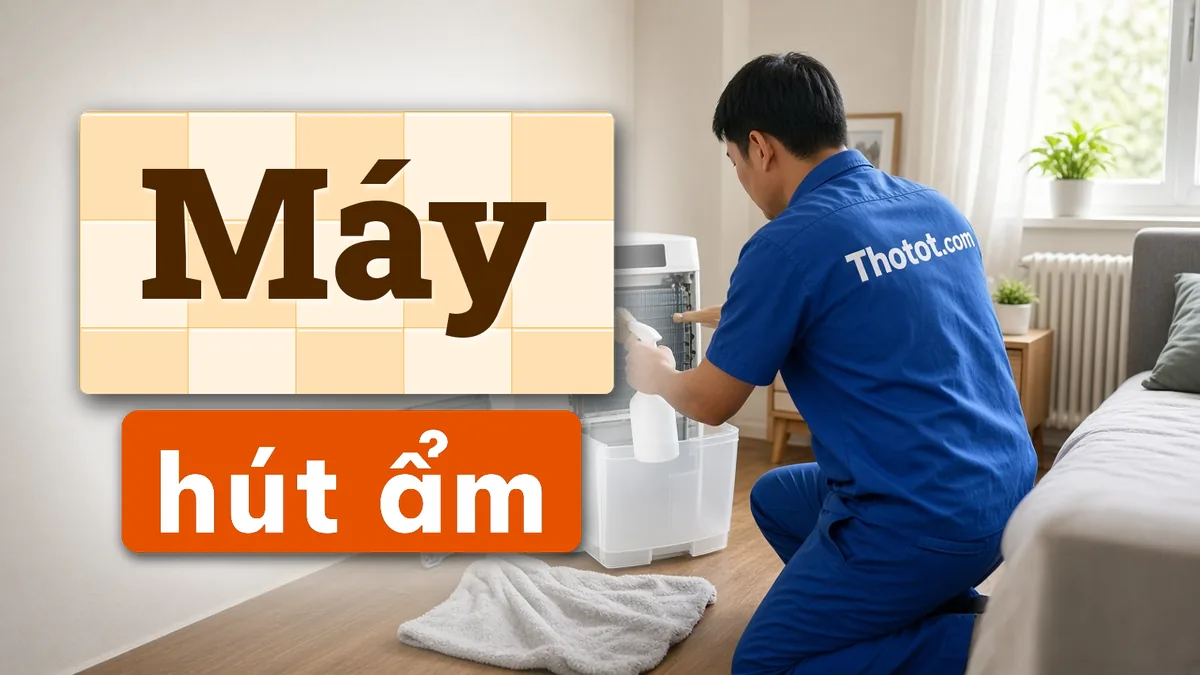 Vệ sinh, sửa máy hút ẩm