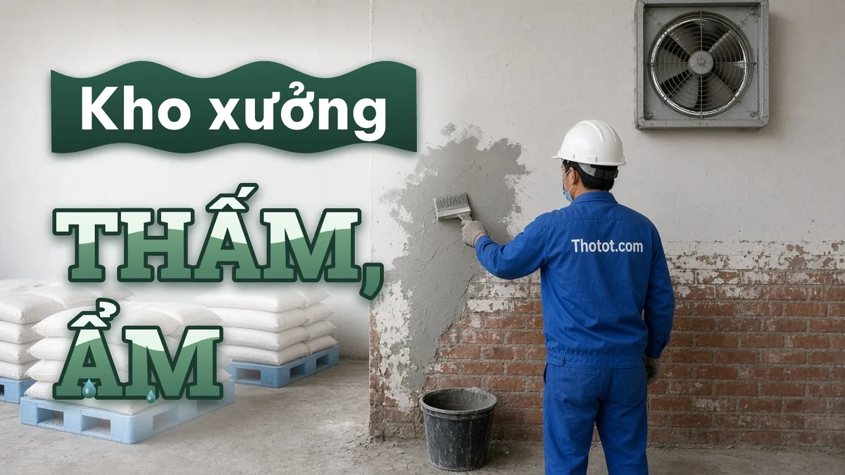 Xử lý kho nguyên vật liệu nhà xưởng bị thấm, ẩm