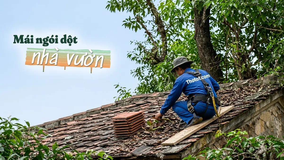 Xử lý mái ngói nhà vườn bị dột